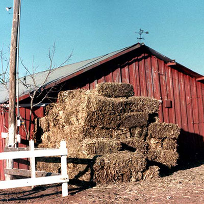 Photos of the Horse Barn